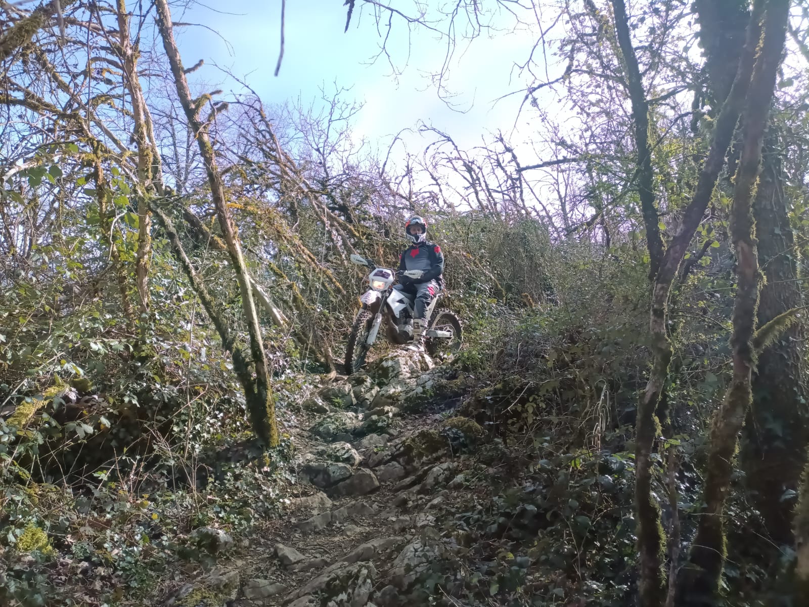 IMG-20250313-WA0002