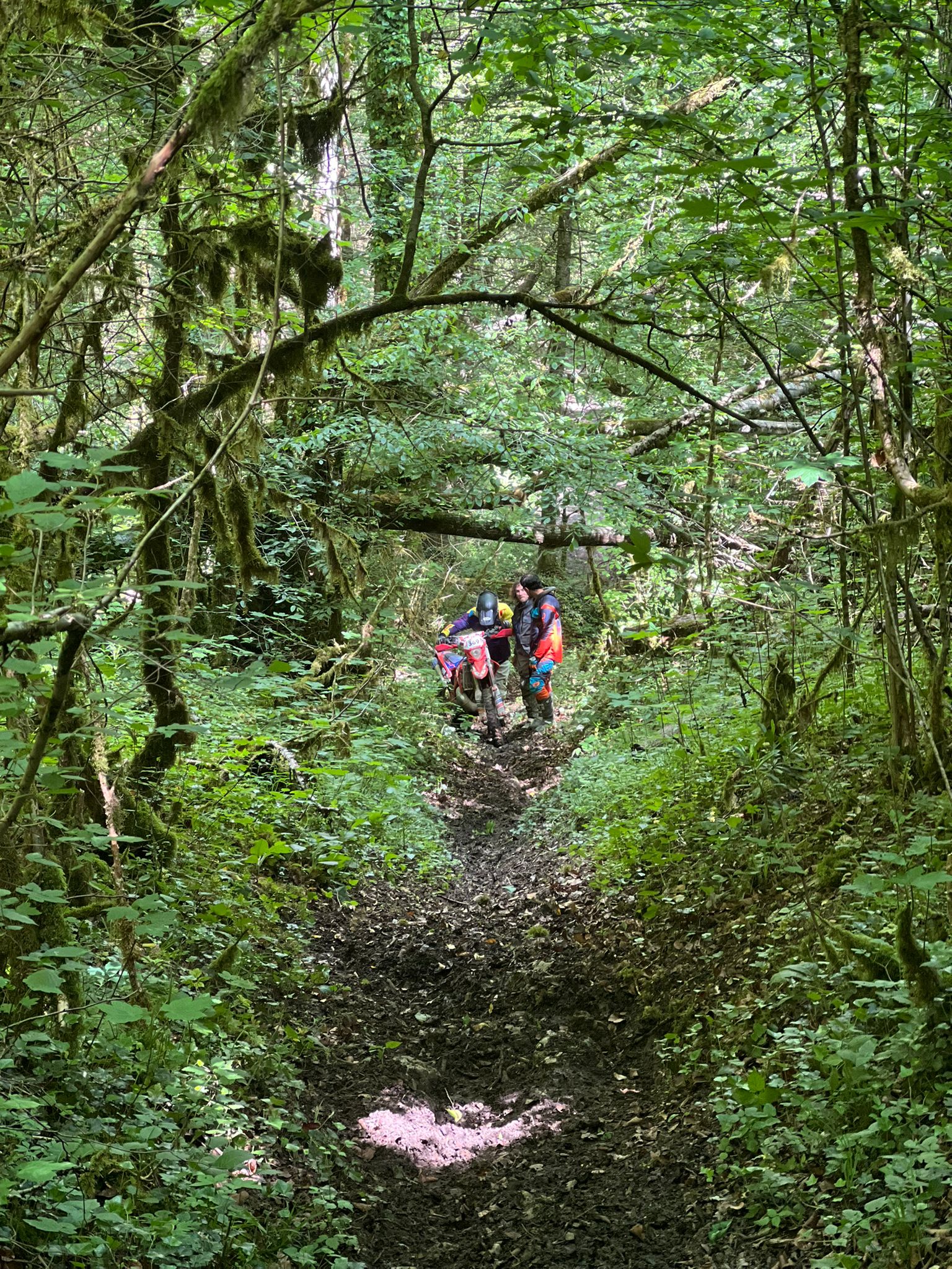 IMG-20250513-WA0011